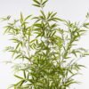 Artificial Tree Bamboo 6 in PP pot 1632 lvs GS-71023015KD-G2_7 Artificial Tree 110*110*235cm Bamboo *6 in PP pot/1632 lvs GS-71023015KD-G2 2024Jan YeahFlower is one of Chinese leading OEM manufacturers and exporters , supplying the silk flowers, wholesale artificial trees
