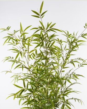 Artificial Tree 110*110*235cm Bamboo *6 in PP pot/1632 lvs GS-71023015KD-G2 2024Jan YeahFlower is one of Chinese leading OEM manufacturers and exporters , supplying the silk flowers, wholesale artificial trees