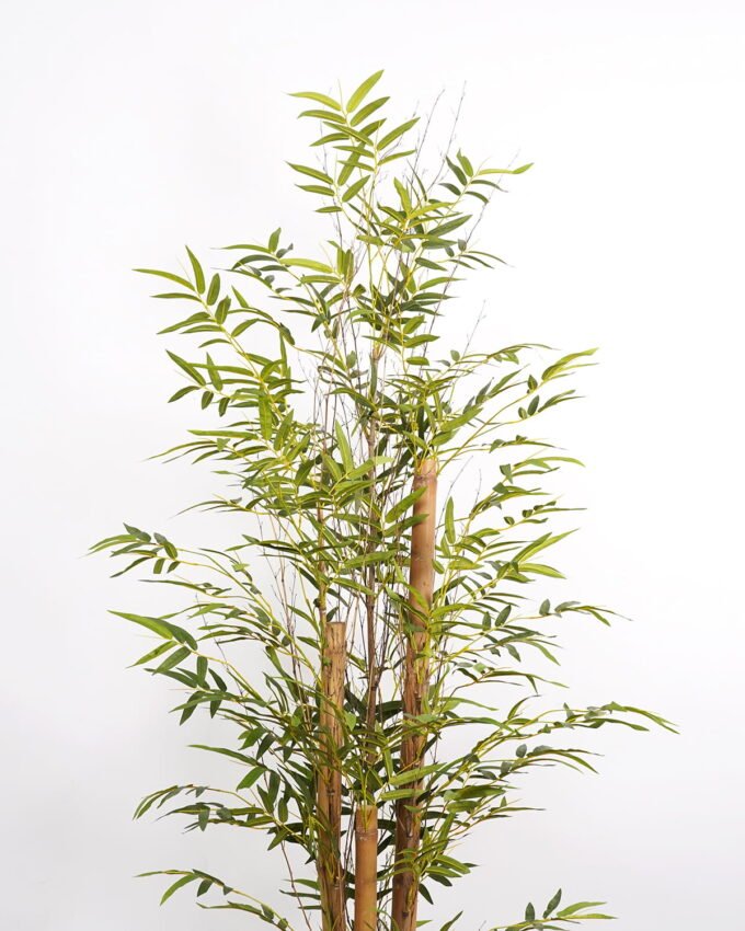 Artificial Tree 100*100*210cm Bamboo *6 in PP pot GS-59523175 2024Feb YeahFlower is one of Chinese leading OEM manufacturers and exporters , supplying the silk flowers, wholesale artificial trees