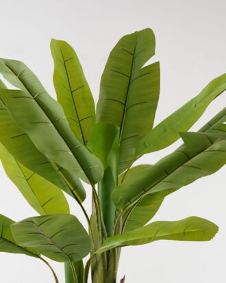 Artificial Tree 116*116*150cm Banana tree *2 in PP pot/14 lvs GS-30423099 2024Jan YeahFlower is one of Chinese leading OEM manufacturers and exporters , supplying the silk flowers, wholesale artificial trees