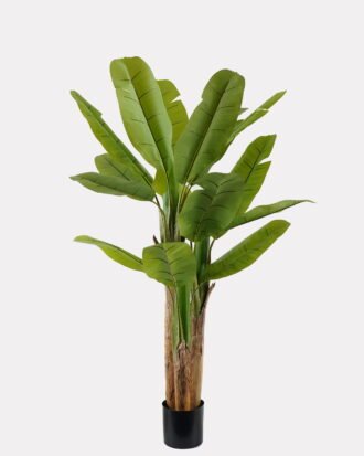 Artificial Tree 120*120*180cm Banana tree *3 in PP pot/18 lvs GS-30423098 2024Jan YeahFlower is one of Chinese leading OEM manufacturers and exporters , supplying the silk flowers, wholesale artificial trees