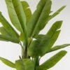 Artificial Tree 120*120*180cm Banana tree *3 in PP pot/18 lvs GS-30423098 2024Jan YeahFlower is one of Chinese leading OEM manufacturers and exporters , supplying the silk flowers, wholesale artificial trees