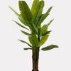 Artificial Tree 130*130*220cm Banana tree *3 in PP pot/23 lvs GS-30423101KD 2024Jan YeahFlower is one of Chinese leading OEM manufacturers and exporters , supplying the silk flowers, wholesale artificial trees