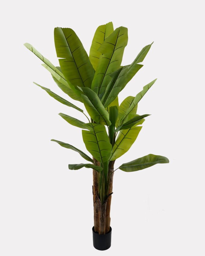 Artificial Tree 130*130*220cm Banana tree *3 in PP pot/23 lvs GS-30423101KD 2024Jan YeahFlower is one of Chinese leading OEM manufacturers and exporters , supplying the silk flowers, wholesale artificial trees