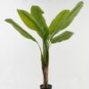 Artificial Tree 88*88*120cm Banana tree in PP pot/7 lvs GS-30423100 2024Jan YeahFlower is one of Chinese leading OEM manufacturers and exporters , supplying the silk flowers, wholesale artificial trees