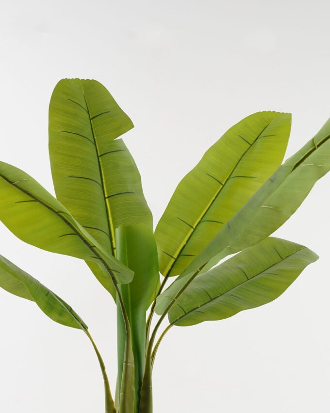 Artificial Tree 88*88*120cm Banana tree in PP pot/7 lvs GS-30423100 2024Jan YeahFlower is one of Chinese leading OEM manufacturers and exporters , supplying the silk flowers, wholesale artificial trees