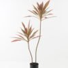 Artificial Tree Cordyline fruticosa 2 in PP pot GS-67723008_1 Artificial Tree 65*57*120cm Cordyline fruticosa *2 in PP pot GS-67723008 2024Jan YeahFlower is one of Chinese leading OEM manufacturers and exporters , supplying the silk flowers, wholesale artificial trees