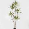 Artificial Tree Cordyline fruticosa 5 in PP pot GS-67723005_1 Artificial Tree 78*78*180cm Cordyline fruticosa *5 in PP pot GS-67723005 2024Jan YeahFlower is one of Chinese leading OEM manufacturers and exporters , supplying the silk flowers, wholesale artificial trees
