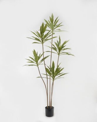 Artificial Tree 78*78*180cm Cordyline fruticosa *5 in PP pot GS-67723005 2024Jan YeahFlower is one of Chinese leading OEM manufacturers and exporters , supplying the silk flowers, wholesale artificial trees