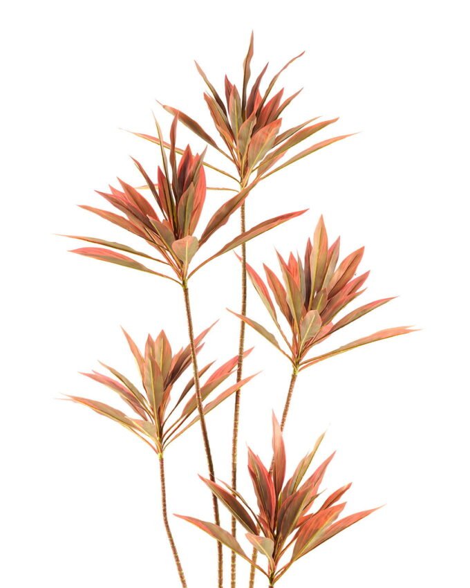 Artificial Tree 78*78*180cm Cordyline fruticosa *5 in PP pot GS-67723015CONTI Tree&Plant 3,000+ sqm showroom with thousands of artificial flowers, plants & trees ready for global sourcing.