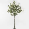 Artificial Tree 83*83*160cm Eucalyptus in pp pot GS-70123050 2024Jan YeahFlower is one of Chinese leading OEM manufacturers and exporters , supplying the silk flowers, wholesale artificial trees