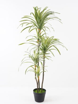 Artificial Tree 70*70*90cm Philodendron *3 in PP pot/12 lvs GS-26623001CONTI Tree&Plant 3,000+ sqm showroom with thousands of artificial flowers, plants & trees ready for global sourcing.