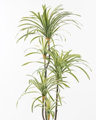 Artificial Tree 60*68*120CM Feeling touch dracaena with pp pot GS-41921007-G2 2024Jan YeahFlower is one of Chinese leading OEM manufacturers and exporters , supplying the silk flowers, wholesale artificial trees Artificial Tree 60*68*120CM Feeling touch dracaena with pp pot GS-41921007-G2 2024Jan YeahFlower is one of Chinese leading OEM manufacturers and exporters , supplying the silk flowers, wholesale artificial trees