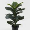 Artificial Tree 42*42*65cm Ficus lyrata in PP pot/18 lvs GS-59523137 2024Jan YeahFlower is one of Chinese leading OEM manufacturers and exporters , supplying the silk flowers, wholesale artificial trees