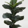 Artificial Tree 42*42*65cm Ficus lyrata in PP pot/18 lvs GS-59523137 2024Jan YeahFlower is one of Chinese leading OEM manufacturers and exporters , supplying the silk flowers, wholesale artificial trees