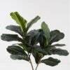 Artificial Tree Ficus lyrata in PP pot 20 lvs GS-59523138_5 Artificial Tree 56*41*75cm Ficus lyrata in PP pot/20 lvs GS-59523138 2024Jan YeahFlower is one of Chinese leading OEM manufacturers and exporters , supplying the silk flowers, wholesale artificial trees