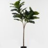 Artificial Tree Ficus lyrata in PP pot 39 lvs GS-59523135KD_1 Artificial Tree 60*64*130cm Ficus lyrata in PP pot/39 lvs GS-59523135KD 2024Jan YeahFlower is one of Chinese leading OEM manufacturers and exporters , supplying the silk flowers, wholesale artificial trees