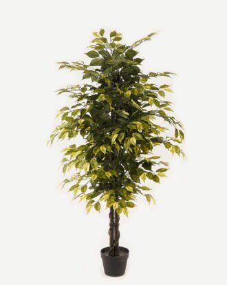 Artificial Tree 85*85*150cm Ficus microcarpa *2 in PP pot/1008 lvs GS-30423114 2024Jan YeahFlower is one of Chinese leading OEM manufacturers and exporters , supplying the silk flowers, wholesale artificial trees Artificial Tree 85*85*150cm Ficus microcarpa *2 in PP pot/1008 lvs GS-30423114 2024Jan YeahFlower is one of Chinese leading OEM manufacturers and exporters , supplying the silk flowers, wholesale artificial trees