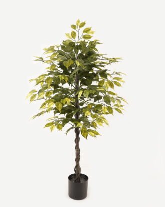 Artificial Tree 60*60*120cm Ficus microcarpa in PP pot/504 lvs GS-30423113 2024Jan YeahFlower is one of Chinese leading OEM manufacturers and exporters , supplying the silk flowers, wholesale artificial trees Artificial Tree 60*60*120cm Ficus microcarpa in PP pot/504 lvs GS-30423113 2024Jan YeahFlower is one of Chinese leading OEM manufacturers and exporters , supplying the silk flowers, wholesale artificial trees