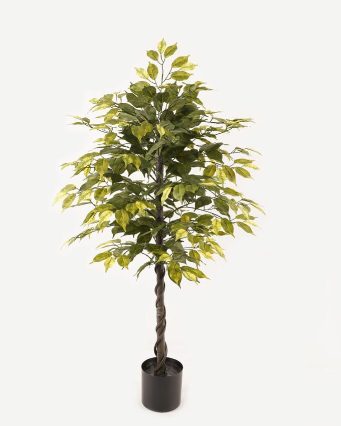 Artificial Tree 60*60*120cm Ficus microcarpa in PP pot/504 lvs GS-30423113 2024Jan YeahFlower is one of Chinese leading OEM manufacturers and exporters , supplying the silk flowers, wholesale artificial trees