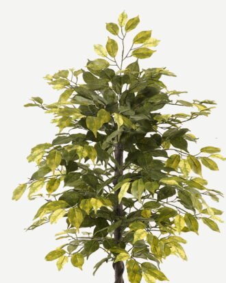 Artificial Tree 60*60*120cm Ficus microcarpa in PP pot/504 lvs GS-30423113 2024Jan YeahFlower is one of Chinese leading OEM manufacturers and exporters , supplying the silk flowers, wholesale artificial trees Artificial Tree 60*60*120cm Ficus microcarpa in PP pot/504 lvs GS-30423113 2024Jan YeahFlower is one of Chinese leading OEM manufacturers and exporters , supplying the silk flowers, wholesale artificial trees
