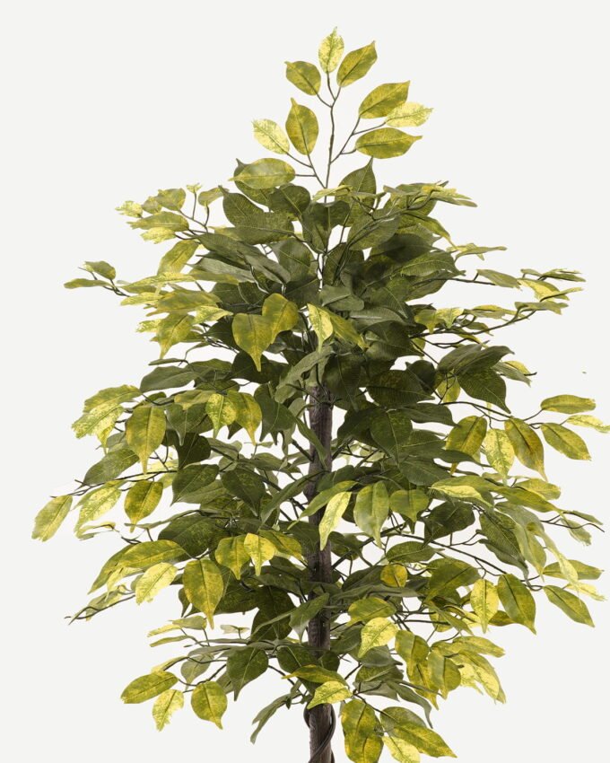 Artificial Tree 60*60*120cm Ficus microcarpa in PP pot/504 lvs GS-30423113 2024Jan YeahFlower is one of Chinese leading OEM manufacturers and exporters , supplying the silk flowers, wholesale artificial trees