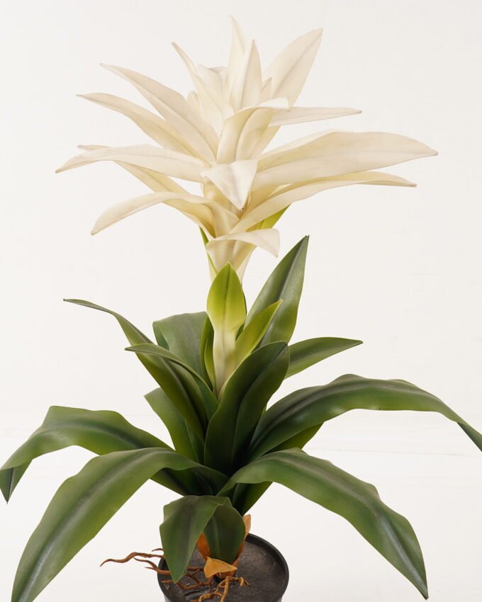 Artificial Tree 45*45*64cm Ginger Flower in pp pot GF-41919002-W1 2024Jan YeahFlower is one of Chinese leading OEM manufacturers and exporters , supplying the silk flowers, wholesale artificial trees