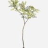 Artificial Tree Jacaranda in pp pot GS-72623022KD_6 Artificial Tree 90*60*210cm Jacaranda in pp pot GS-72623022KD 2024Jan YeahFlower is one of Chinese leading OEM manufacturers and exporters , supplying the silk flowers, wholesale artificial trees