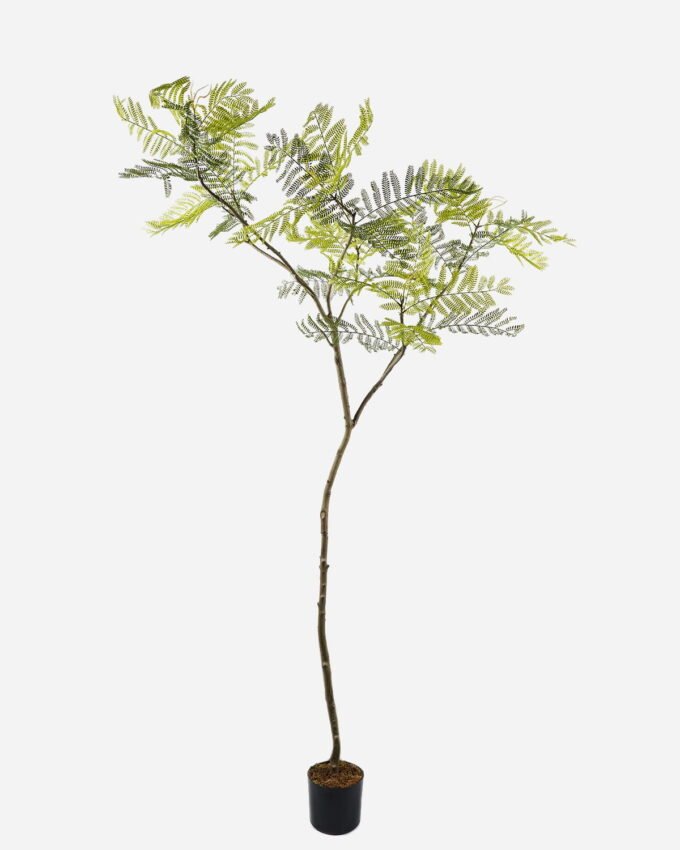 Artificial Tree Jacaranda in pp pot GS-72623022KD_6 Artificial Tree 90*60*210cm Jacaranda in pp pot GS-72623022KD 2024Jan YeahFlower is one of Chinese leading OEM manufacturers and exporters , supplying the silk flowers, wholesale artificial trees