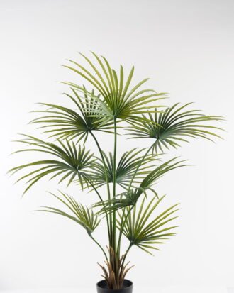 Artificial Tree 115*115*160cm Kwai Palm in PP pot/8 lvs GS-59523151 2024Feb YeahFlower is one of Chinese leading OEM manufacturers and exporters , supplying the silk flowers, wholesale artificial trees