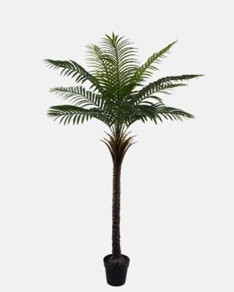 Artificial Tree 125*125*180cm Kwai tree *7 in PP pot/12 lvs GS-59523140KD 2024Jan YeahFlower is one of Chinese leading OEM manufacturers and exporters , supplying the silk flowers, wholesale artificial trees