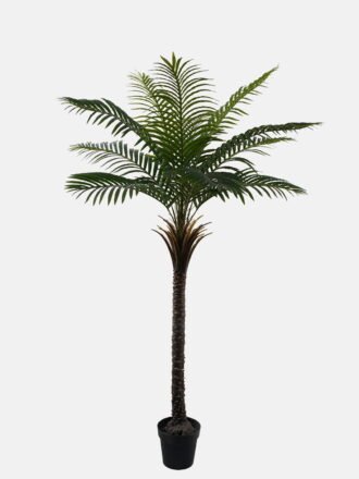 Artificial Tree 90*70*200cm Scheffera  tree *2 in PP pot GS-67723011CONTI-KD 2024Jan YeahFlower is one of Chinese leading OEM manufacturers and exporters , supplying the silk flowers, wholesale artificial trees