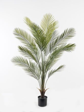 Artificial Tree 45*45*45cm Kwai tree in PP pot/8 lvs GS-59523157 Tree&Plant 3,000+ sqm showroom with thousands of artificial flowers, plants & trees ready for global sourcing.