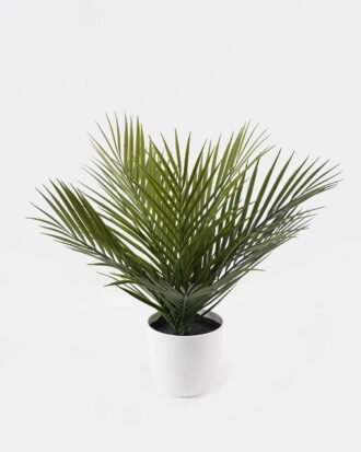 Artificial Tree 48*48*48cm Kwai tree in PP pot/8 lvs GS-59523156 2024Feb YeahFlower is one of Chinese leading OEM manufacturers and exporters , supplying the silk flowers, wholesale artificial trees