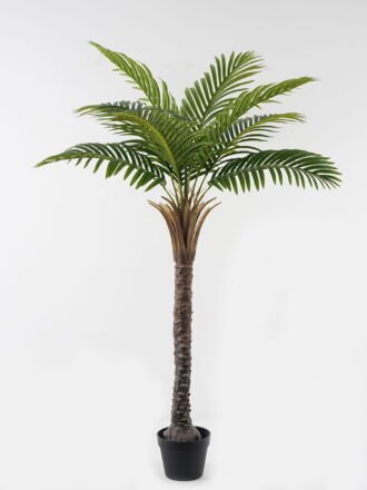 Artificial Tree 130*130*210cm Kwai tree *2 in PP pot/24 lvs GS-59523142KD Tree&Plant 3,000+ sqm showroom with thousands of artificial flowers, plants & trees ready for global sourcing.