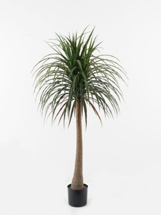 Artificial Tree 30*30*50cm Plant in PP pot/11 lvs GS-59523167 Tree&Plant 3,000+ sqm showroom with thousands of artificial flowers, plants & trees ready for global sourcing.