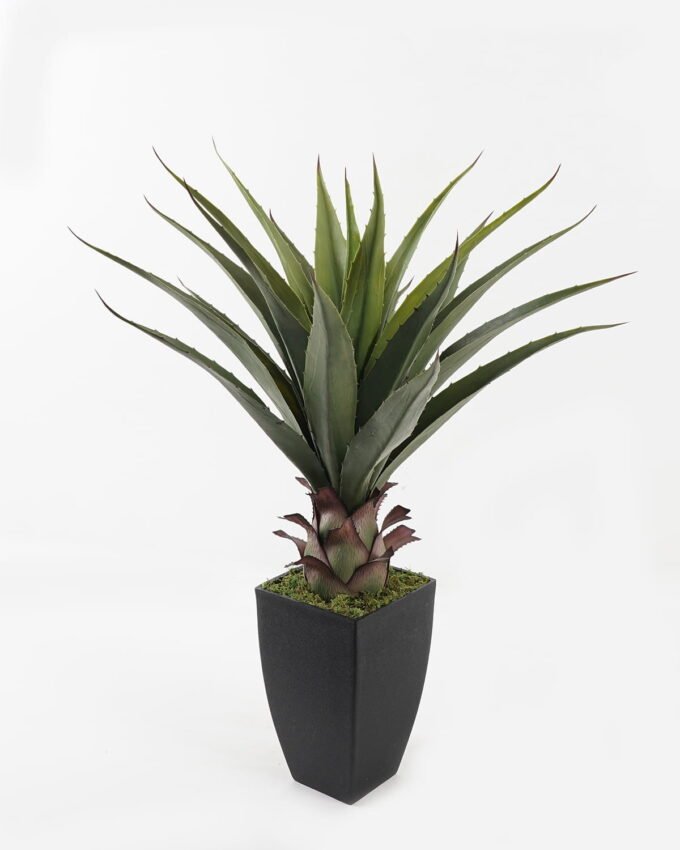 Artificial Tree 55*55*70cm Maguey in PP pot/22 lvs GS-59523164 2024Feb YeahFlower is one of Chinese leading OEM manufacturers and exporters , supplying the silk flowers, wholesale artificial trees