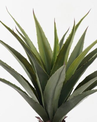 Artificial Tree 55*55*70cm Maguey in PP pot/22 lvs GS-59523164 2024Feb YeahFlower is one of Chinese leading OEM manufacturers and exporters , supplying the silk flowers, wholesale artificial trees