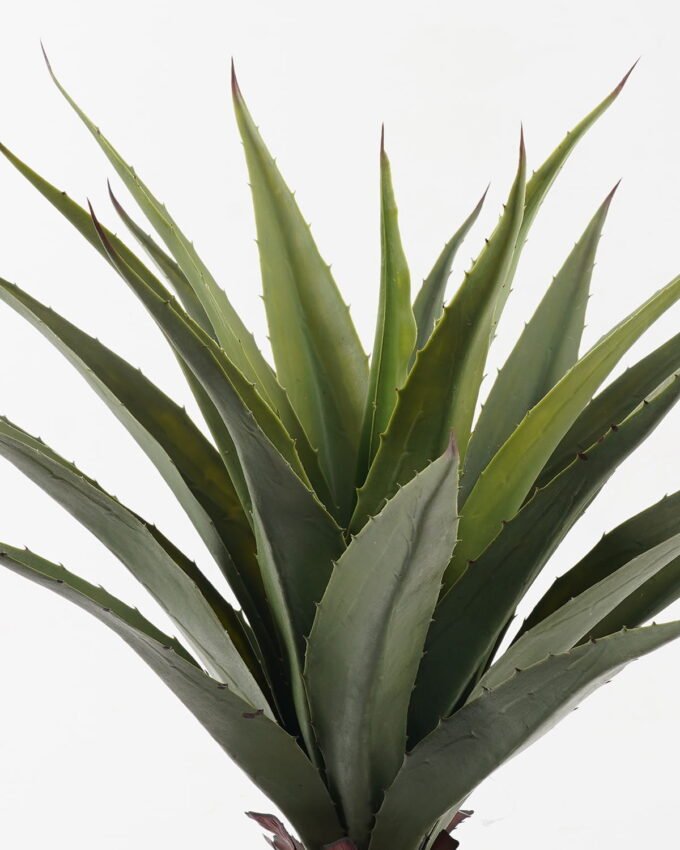 Artificial Tree 55*55*70cm Maguey in PP pot/22 lvs GS-59523164 2024Feb YeahFlower is one of Chinese leading OEM manufacturers and exporters , supplying the silk flowers, wholesale artificial trees