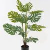Artificial Tree 70*70*90cm Monstera *3 in PP pot/12 lvs GS-26623010CONTI 2024Jan YeahFlower is one of Chinese leading OEM manufacturers and exporters , supplying the silk flowers, wholesale artificial trees