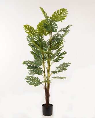 Artificial Tree 73*73*160cm Monstera *3 in PP pot/34 lvs GS-26623012CONTI 2024Jan YeahFlower is one of Chinese leading OEM manufacturers and exporters , supplying the silk flowers, wholesale artificial trees