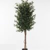 Artificial Tree Olive in PP pot 1836 lvs GS-30623023_5 Artificial Tree 60*60*150cm Olive in PP pot/1836 lvs GS-30623023 2024Jan YeahFlower is one of Chinese leading OEM manufacturers and exporters , supplying the silk flowers, wholesale artificial trees