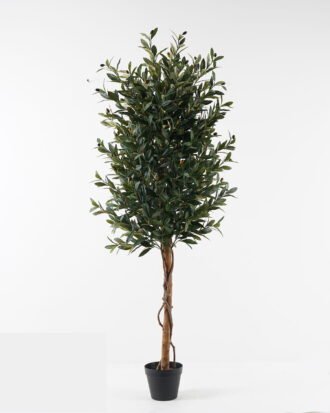 Artificial Tree 60*60*150cm Olive in PP pot/1836 lvs GS-30623023 2024Jan YeahFlower is one of Chinese leading OEM manufacturers and exporters , supplying the silk flowers, wholesale artificial trees Artificial Tree 60*60*150cm Olive in PP pot/1836 lvs GS-30623023 2024Jan YeahFlower is one of Chinese leading OEM manufacturers and exporters , supplying the silk flowers, wholesale artificial trees