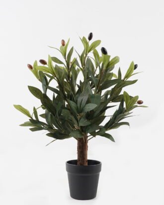 Artificial Tree 33*33*41cm Olive in PP pot GS-30423104 2024Jan YeahFlower is one of Chinese leading OEM manufacturers and exporters , supplying the silk flowers, wholesale artificial trees Artificial Tree 33*33*41cm Olive in PP pot GS-30423104 2024Jan YeahFlower is one of Chinese leading OEM manufacturers and exporters , supplying the silk flowers, wholesale artificial trees