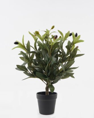 Artificial Tree 33*33*41cm Olive in PP pot GS-30423105 2024Jan YeahFlower is one of Chinese leading OEM manufacturers and exporters , supplying the silk flowers, wholesale artificial trees Artificial Tree 33*33*41cm Olive in PP pot GS-30423105 2024Jan YeahFlower is one of Chinese leading OEM manufacturers and exporters , supplying the silk flowers, wholesale artificial trees