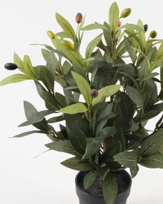 Artificial Tree 33*33*41cm Olive in PP pot GS-30423105 2024Jan YeahFlower is one of Chinese leading OEM manufacturers and exporters , supplying the silk flowers, wholesale artificial trees Artificial Tree 33*33*41cm Olive in PP pot GS-30423105 2024Jan YeahFlower is one of Chinese leading OEM manufacturers and exporters , supplying the silk flowers, wholesale artificial trees