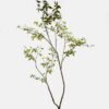 Artificial Tree Pieris japonica 2 in pp pot GS-72623023KD Artificial Tree 120*100*200cm Pieris japonica *2 in pp pot GS-72623023KD 2024Jan YeahFlower is one of Chinese leading OEM manufacturers and exporters , supplying the silk flowers, wholesale artificial trees