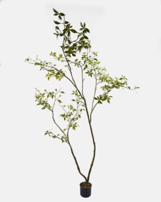 Artificial Tree 120*100*200cm Pieris japonica *2 in pp pot GS-72623023KD 2024Jan YeahFlower is one of Chinese leading OEM manufacturers and exporters , supplying the silk flowers, wholesale artificial trees