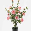 Artificial Tree Pink Rose in PP pot GS-64223011_7 Artificial Tree 35*35*68cm Pink Rose in PP pot GS-64223011 2024Jan YeahFlower is one of Chinese leading OEM manufacturers and exporters , supplying the silk flowers, wholesale artificial trees