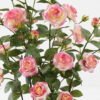 Artificial Tree 45*45*80cm Pink Rose in PP pot GS-64223014 2024Jan YeahFlower is one of Chinese leading OEM manufacturers and exporters , supplying the silk flowers, wholesale artificial trees